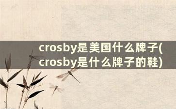 crosby是美国什么牌子(crosby是什么牌子的鞋)