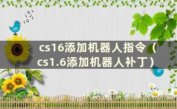 cs16添加机器人指令（cs1.6添加机器人补丁）