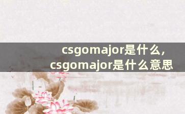 csgomajor是什么,csgomajor是什么意思