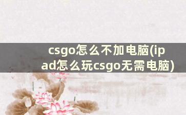 csgo怎么不加电脑(ipad怎么玩csgo无需电脑)