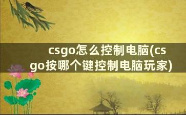 csgo怎么控制电脑(csgo按哪个键控制电脑玩家)