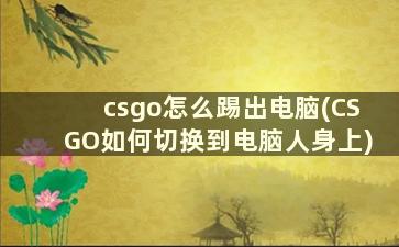 csgo怎么踢出电脑(CSGO如何切换到电脑人身上)