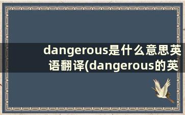 dangerous是什么意思英语翻译(dangerous的英语是什么意思)