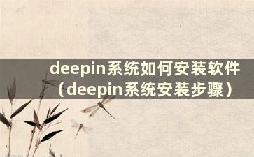 deepin系统如何安装软件（deepin系统安装步骤）