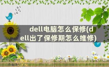 dell电脑怎么保修(dell出了保修期怎么维修)