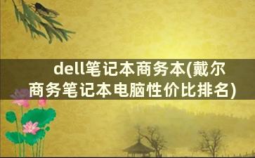 dell笔记本商务本(戴尔商务笔记本电脑性价比排名)