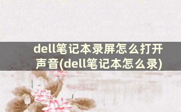 dell笔记本录屏怎么打开声音(dell笔记本怎么录)