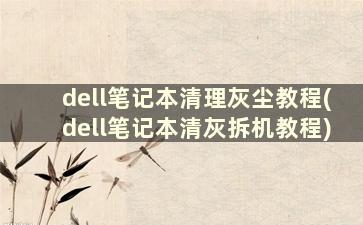 dell笔记本清理灰尘教程(dell笔记本清灰拆机教程)