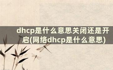 dhcp是什么意思关闭还是开启(网络dhcp是什么意思)