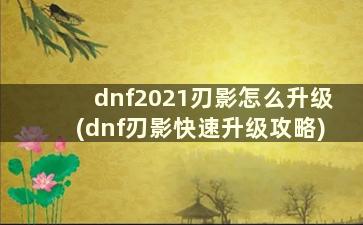 dnf2021刃影怎么升级(dnf刃影快速升级攻略)