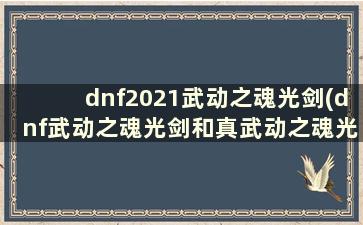 dnf2021武动之魂光剑(dnf武动之魂光剑和真武动之魂光剑有什么区别)