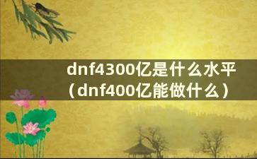 dnf4300亿是什么水平（dnf400亿能做什么）