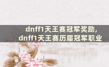 dnff1天王赛冠军奖励,dnff1天王赛历届冠军职业