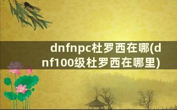 dnfnpc杜罗西在哪(dnf100级杜罗西在哪里)