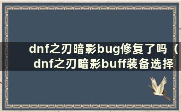 dnf之刃暗影bug修复了吗（dnf之刃暗影buff装备选择）