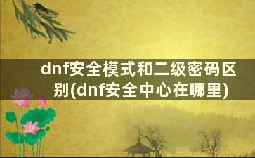 dnf安全模式和二级密码区别(dnf安全中心在哪里)