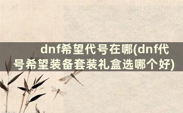 dnf希望代号在哪(dnf代号希望装备套装礼盒选哪个好)