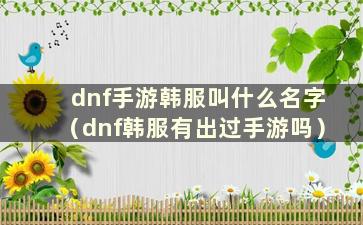 dnf手游韩服叫什么名字（dnf韩服有出过手游吗）