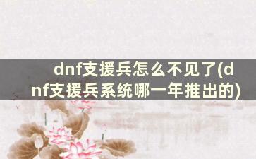 dnf支援兵怎么不见了(dnf支援兵系统哪一年推出的)