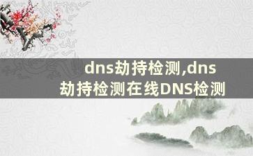 dns劫持检测,dns劫持检测在线DNS检测