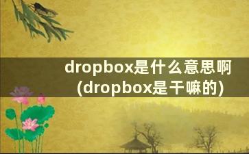 dropbox是什么意思啊(dropbox是干嘛的)