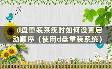 d盘重装系统时如何设置启动顺序（使用d盘重装系统）