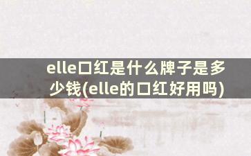 elle口红是什么牌子是多少钱(elle的口红好用吗)