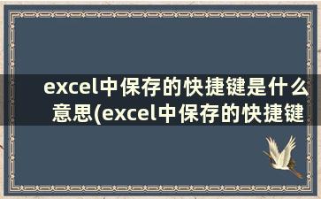 excel中保存的快捷键是什么意思(excel中保存的快捷键是什么键)