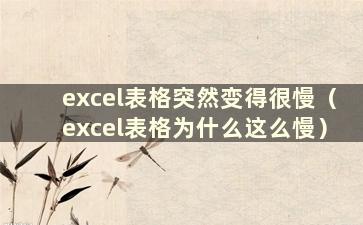 excel表格突然变得很慢（excel表格为什么这么慢）