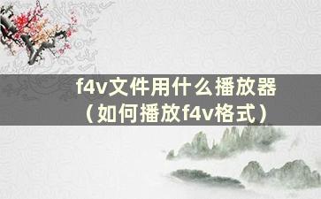 f4v文件用什么播放器（如何播放f4v格式）