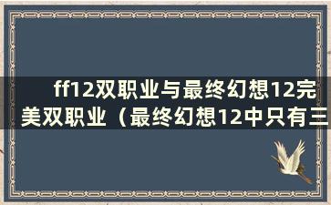 ff12双职业与最终幻想12完美双职业（最终幻想12中只有三个双职业）