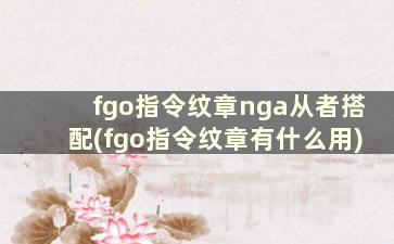 fgo指令纹章nga从者搭配(fgo指令纹章有什么用)