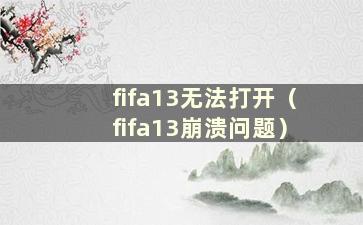 fifa13无法打开（fifa13崩溃问题）