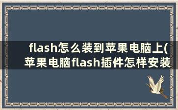 flash怎么装到苹果电脑上(苹果电脑flash插件怎样安装)