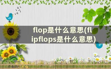 flop是什么意思(flipflops是什么意思)