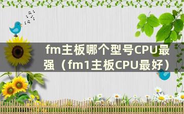 fm主板哪个型号CPU最强（fm1主板CPU最好）