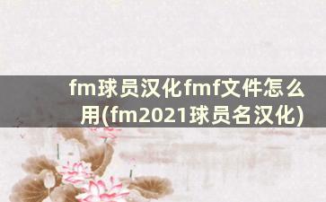 fm球员汉化fmf文件怎么用(fm2021球员名汉化)