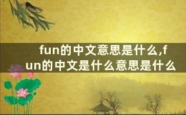 fun的中文意思是什么,fun的中文是什么意思是什么