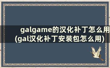 galgame的汉化补丁怎么用(gal汉化补丁安装包怎么用)