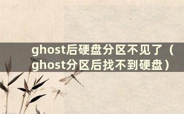 ghost后硬盘分区不见了（ghost分区后找不到硬盘）