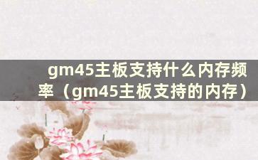 gm45主板支持什么内存频率（gm45主板支持的内存）