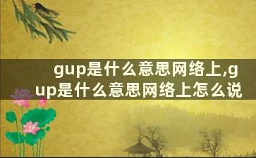 gup是什么意思网络上,gup是什么意思网络上怎么说