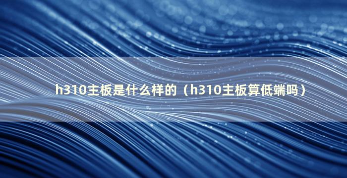 h310主板是什么样的（h310主板算低端吗）