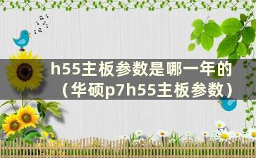 h55主板参数是哪一年的（华硕p7h55主板参数）