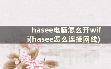 hasee电脑怎么开wifi(hasee怎么连接网线)