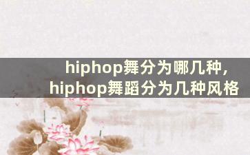 hiphop舞分为哪几种,hiphop舞蹈分为几种风格