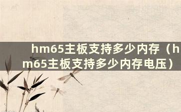 hm65主板支持多少内存（hm65主板支持多少内存电压）