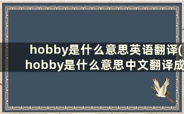 hobby是什么意思英语翻译(hobby是什么意思中文翻译成)