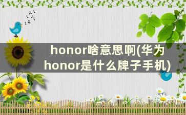 honor啥意思啊(华为honor是什么牌子手机)