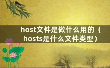 host文件是做什么用的（hosts是什么文件类型）